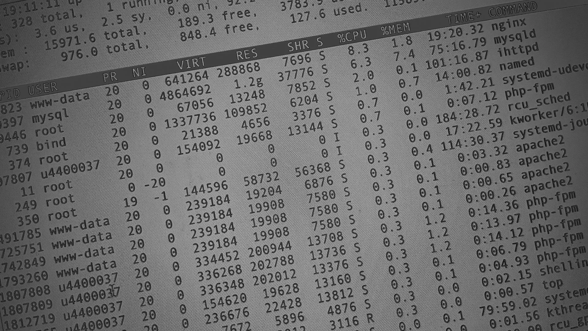 Настройка сервера в Сасово