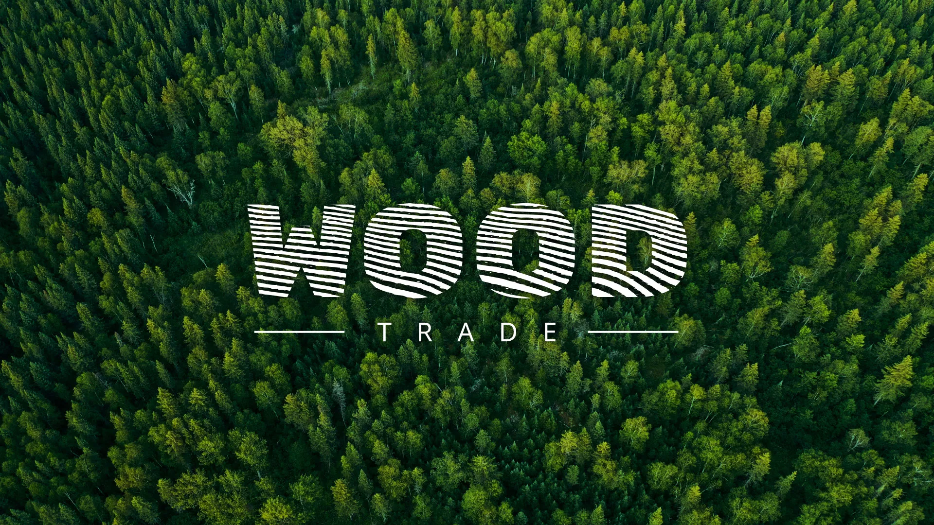 Разработка интернет-магазина компании «Wood Trade» в Сасово