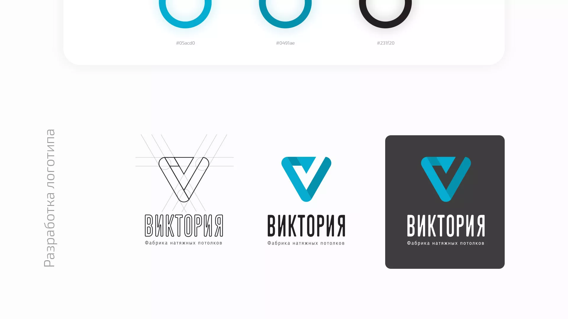 Разработка фирменного стиля компании по продаже и установке натяжных потолков в Сасово