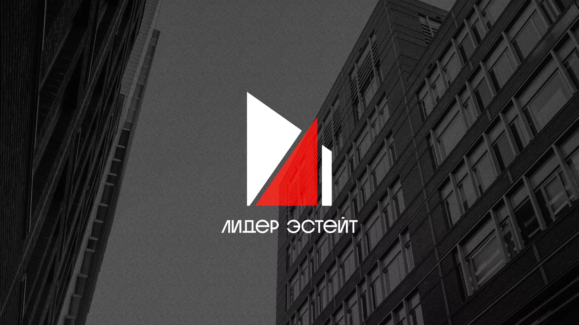 Сделали логотип для агентства недвижимости «Лидер Эстейт» в Сасово